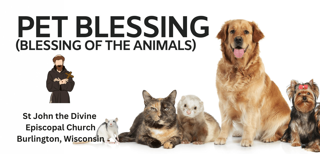 Pet/animal blessing